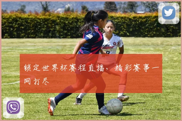 锁定世界杯赛程直播，精彩赛事一网打尽