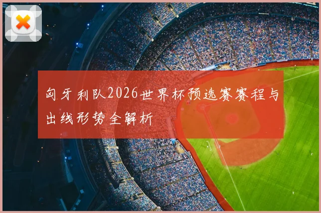 匈牙利队2026世界杯预选赛赛程与出线形势全解析