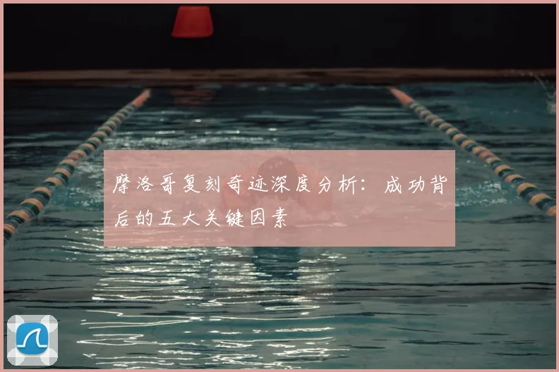 摩洛哥复刻奇迹深度分析：成功背后的五大关键因素