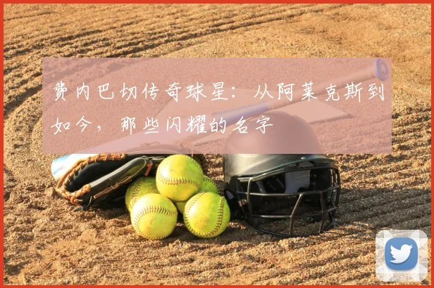 费内巴切传奇球星:从阿莱克斯到如今,那些闪耀的名字